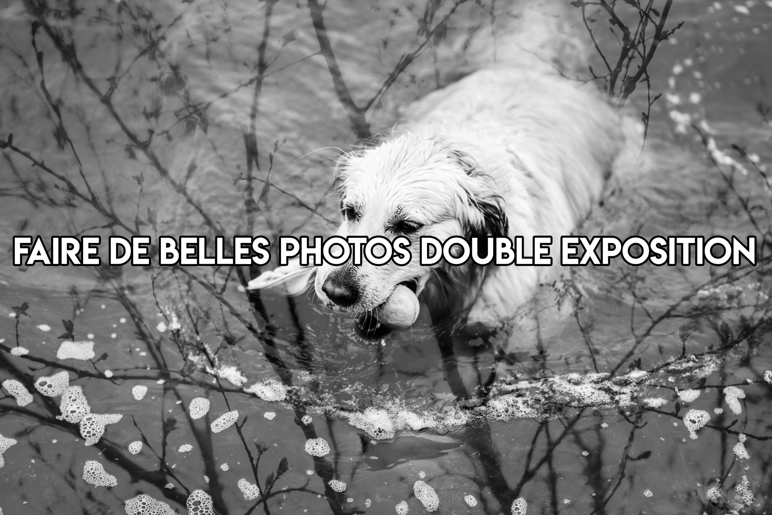 conseils pour la photographie en double exposition